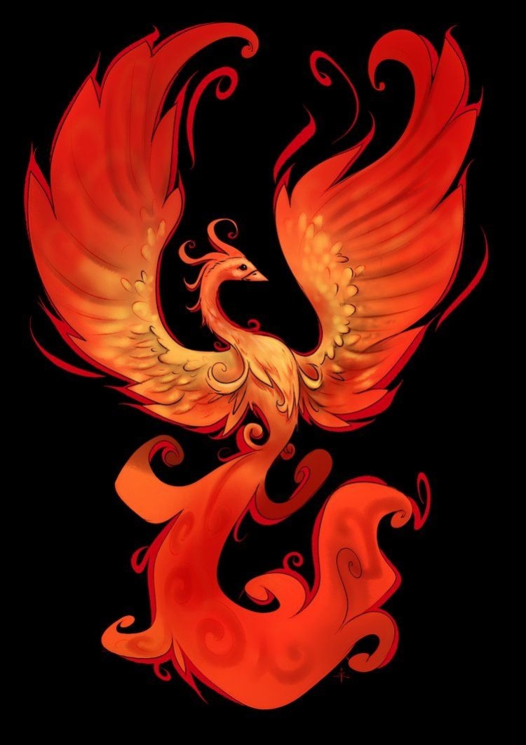 Файербирд / Firebird (Жар птица) роза