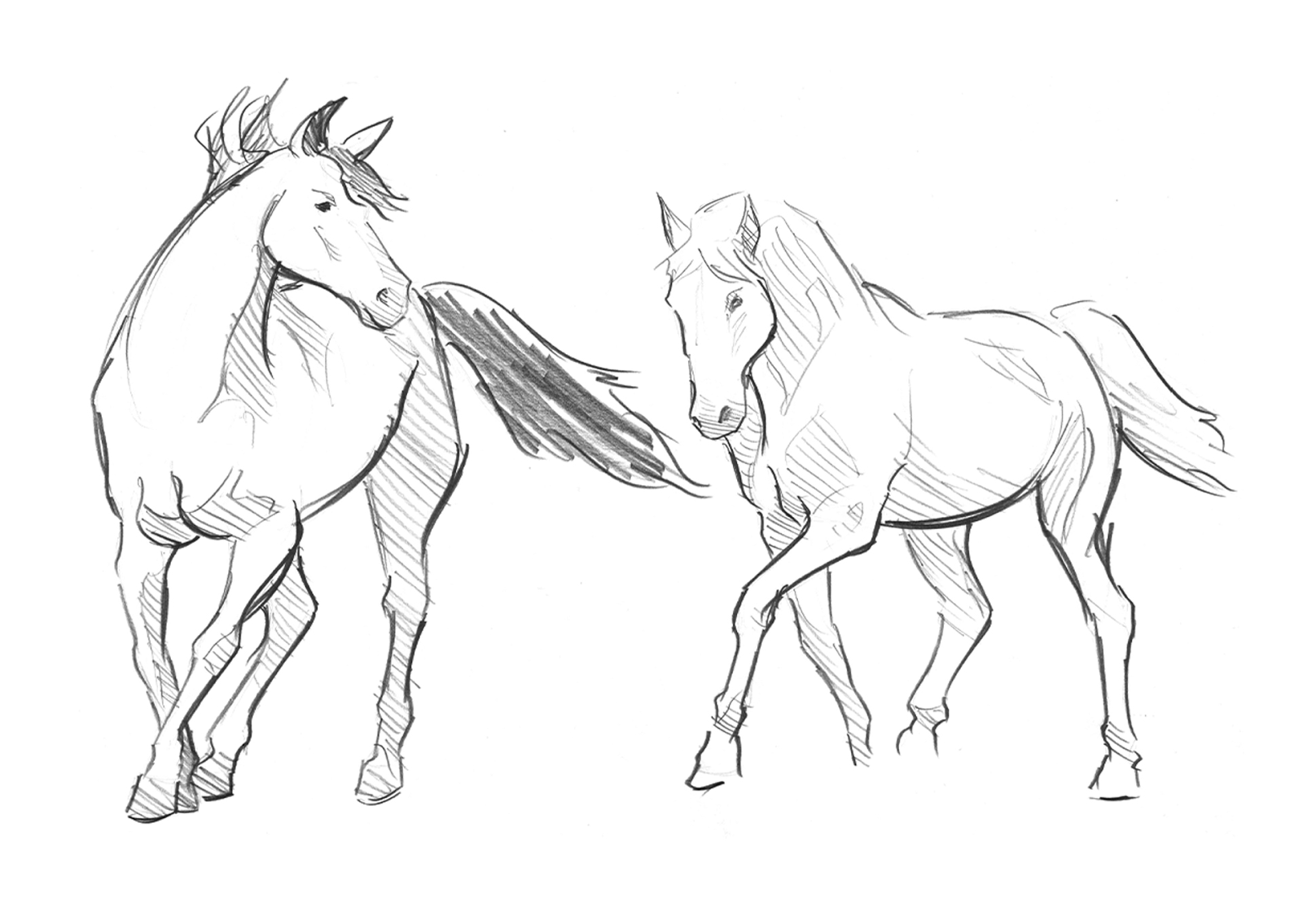 Лошадь картинки рисунки