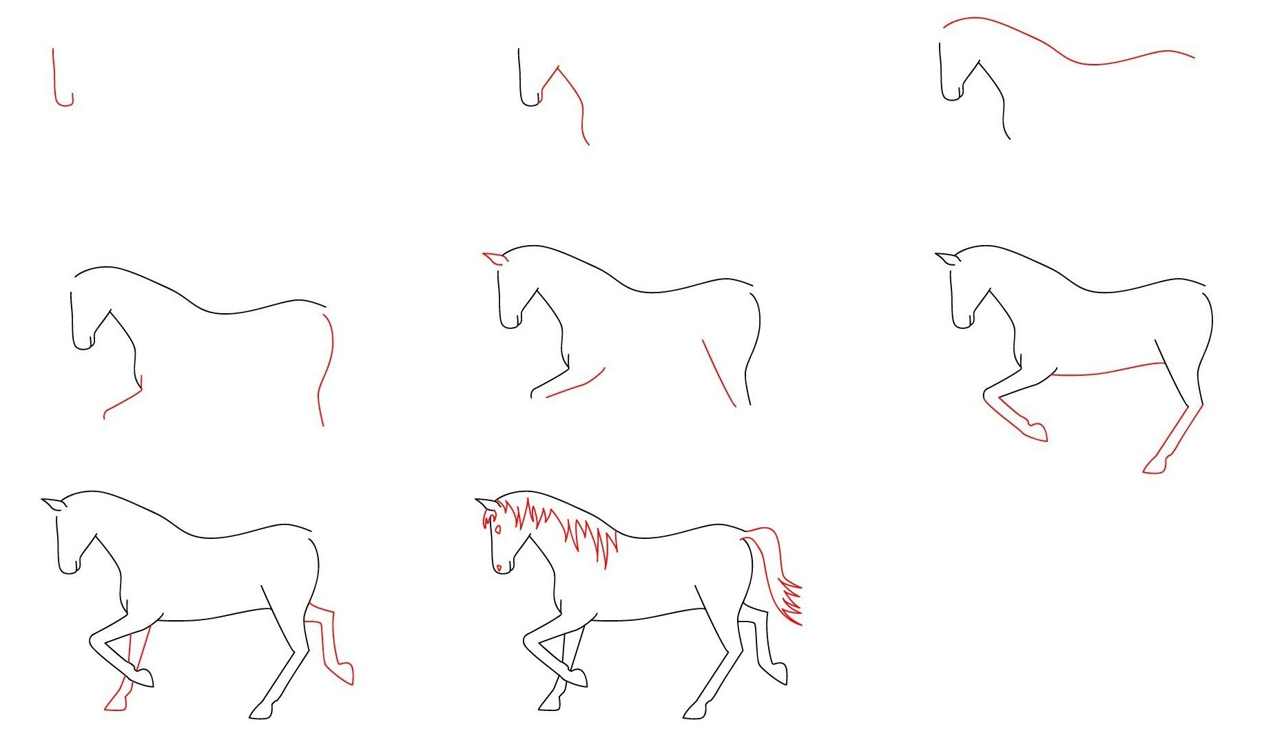 Рисунок лошади карандашом пошагово (47 фото)