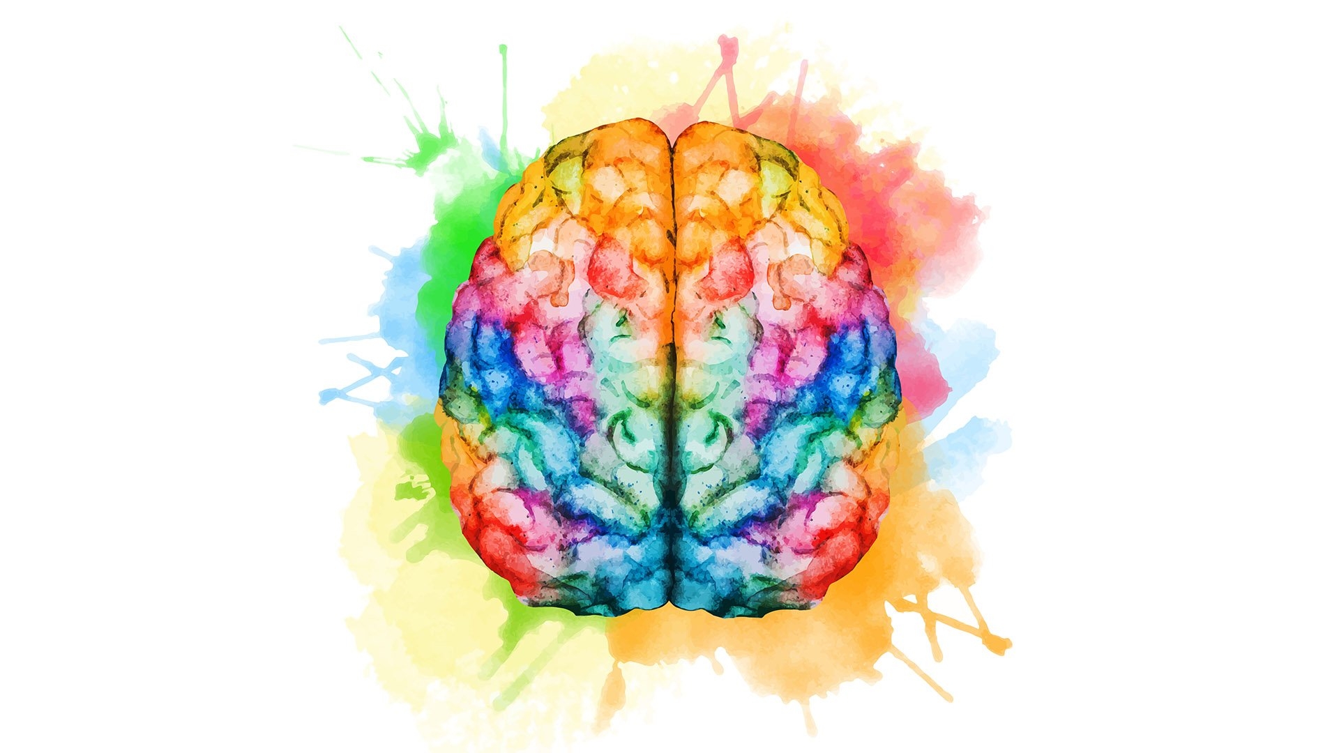 Brain start. Креативный мозг. Разноцветный мозг. Яркий мозг. Красивый мозг.