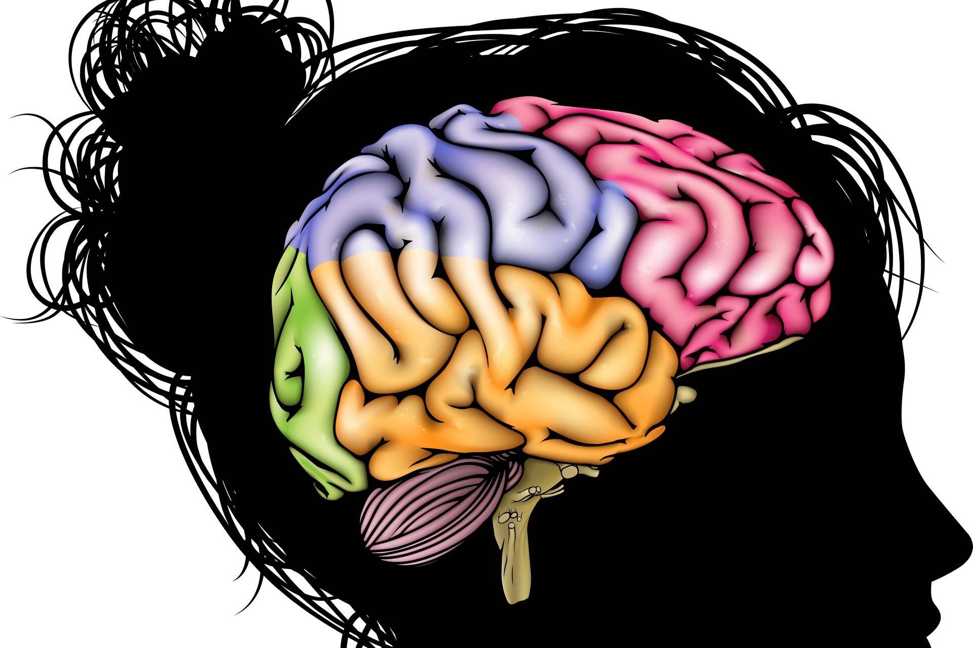 Видео про мозги. Мозг подростка. Деятельность мозга. Подзарядка мозга.