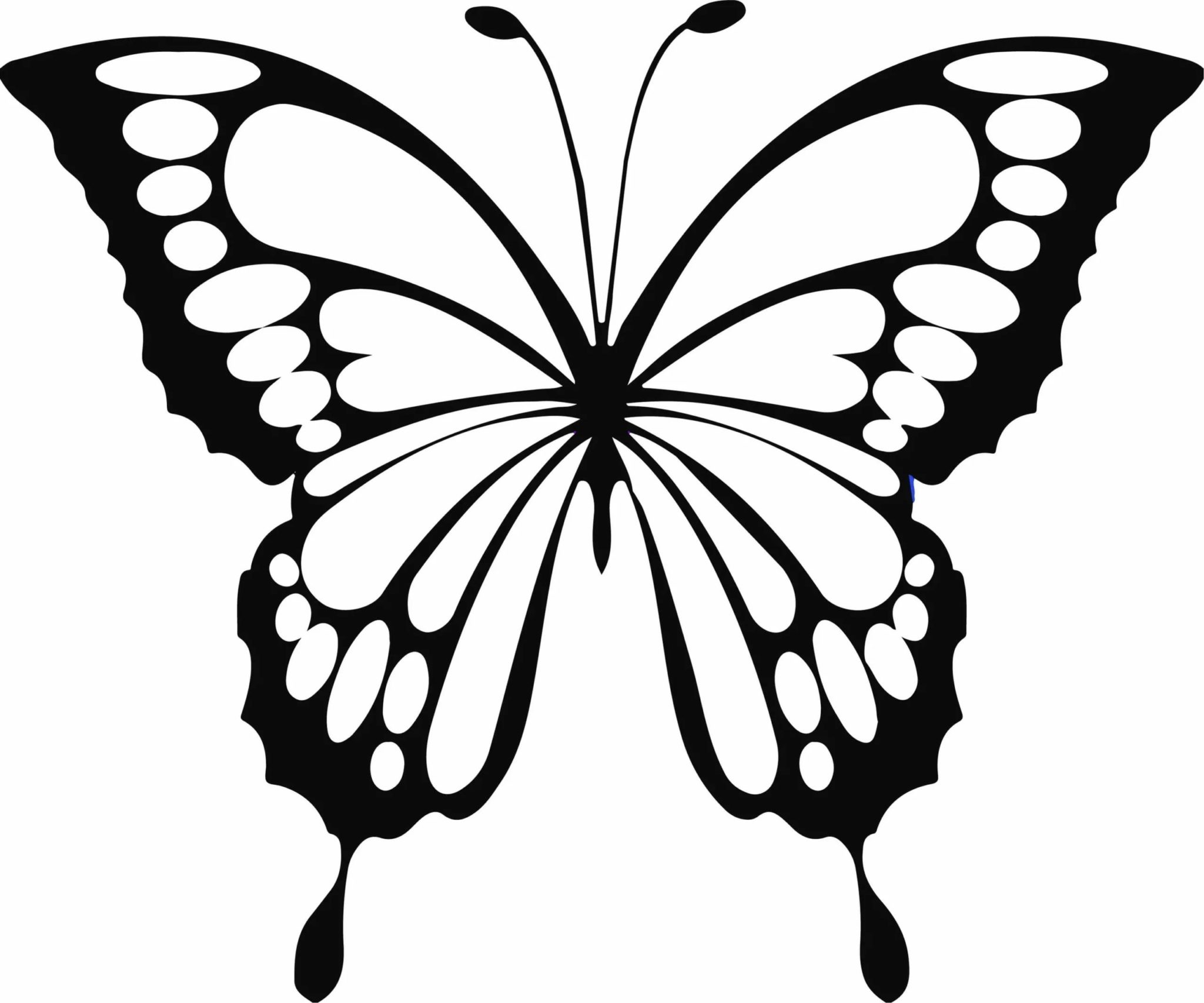 Бабочки из бумаги своими руками (схемы, шаблоны) - Остров доброй надежды