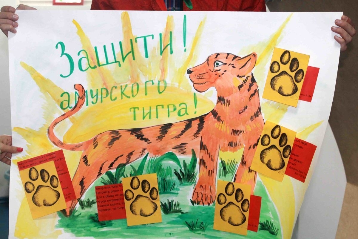 Плакат защита барса. Рисунок на тему защита животных. Плакат на тему защита животных. Защита амурских тигров плакат. Экологический плакат тигр.