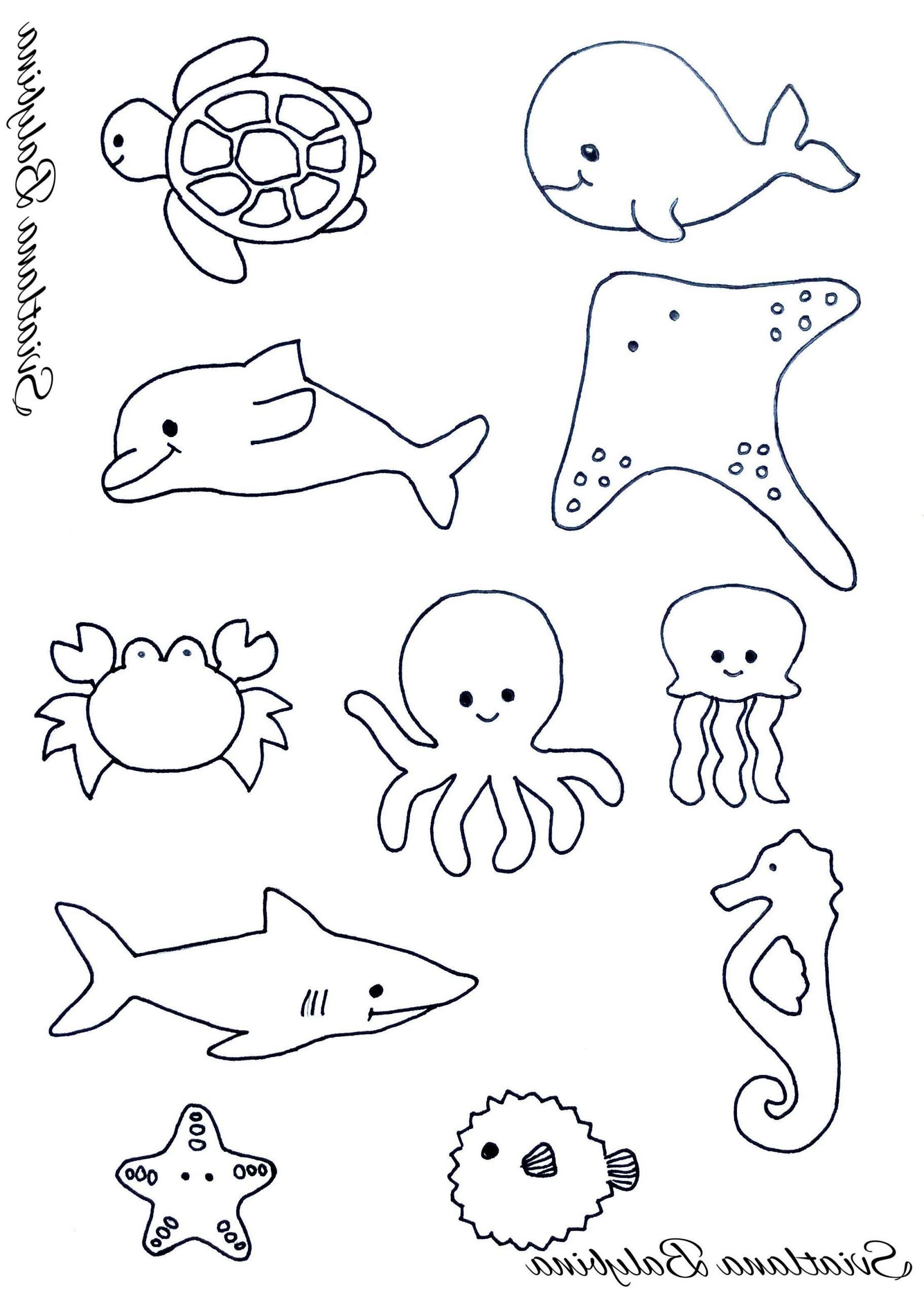 Рисунки для срисовки морские животные (33 фото)