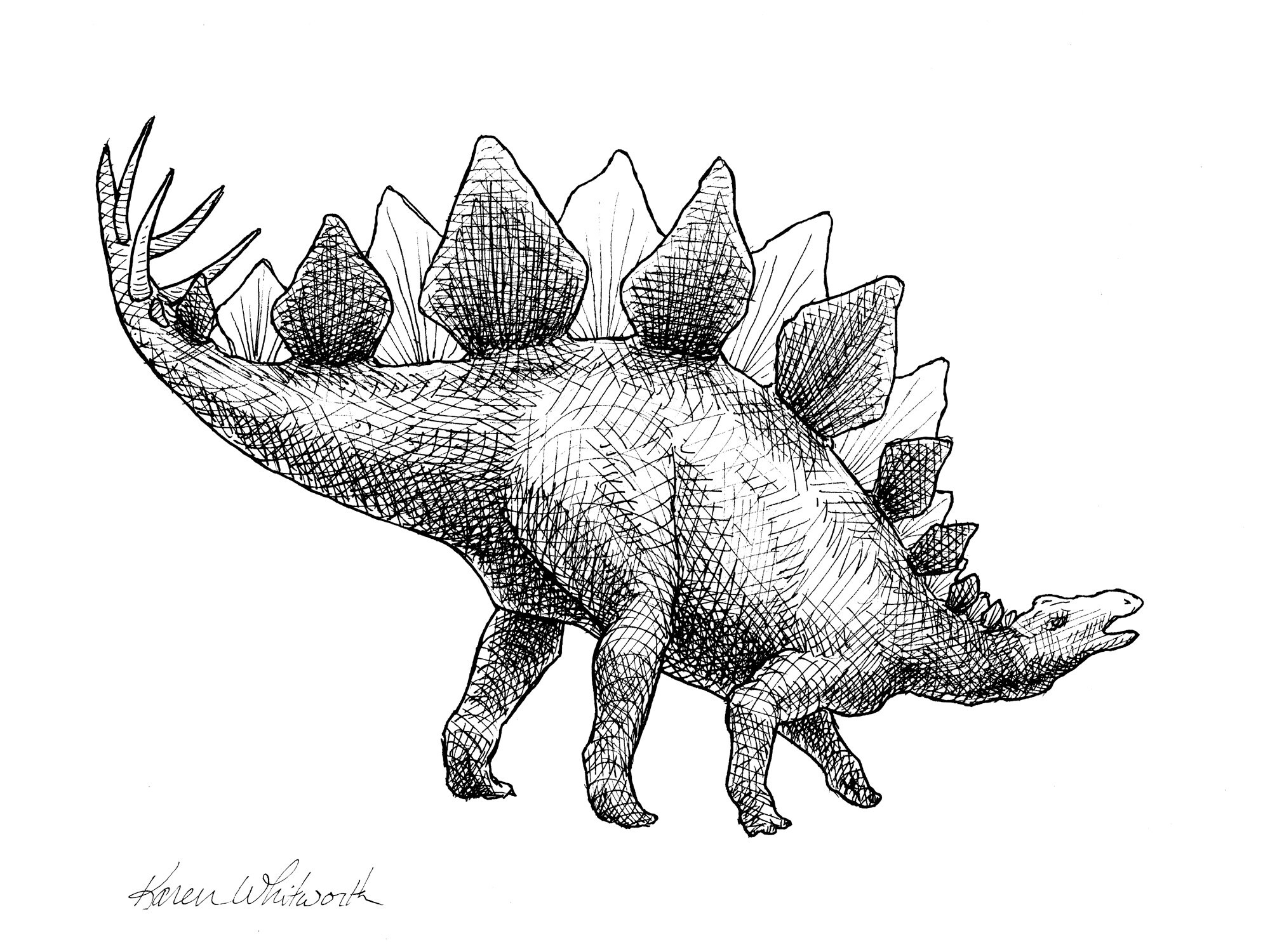 Стегозавр раскраски