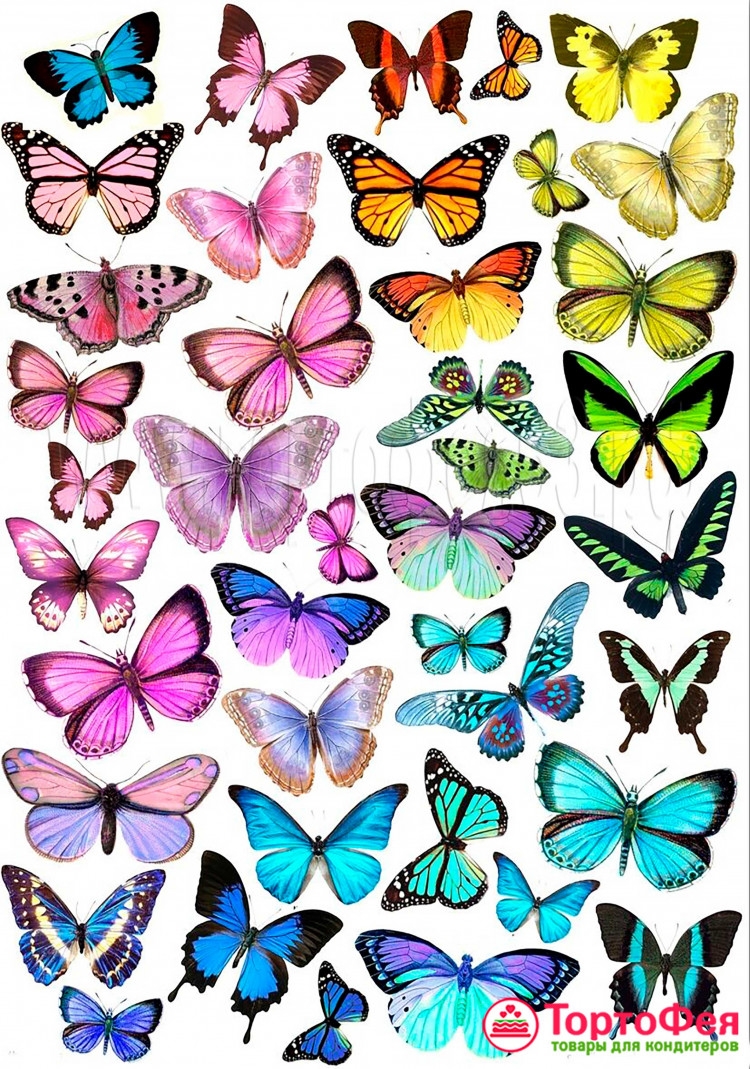 Бабочки шаблоны для вырезания цветные