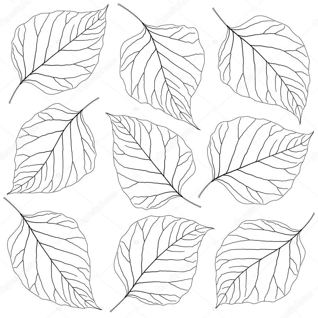Листья гармошкой из бумаги пошагово: 8 вариантов с шаблонами