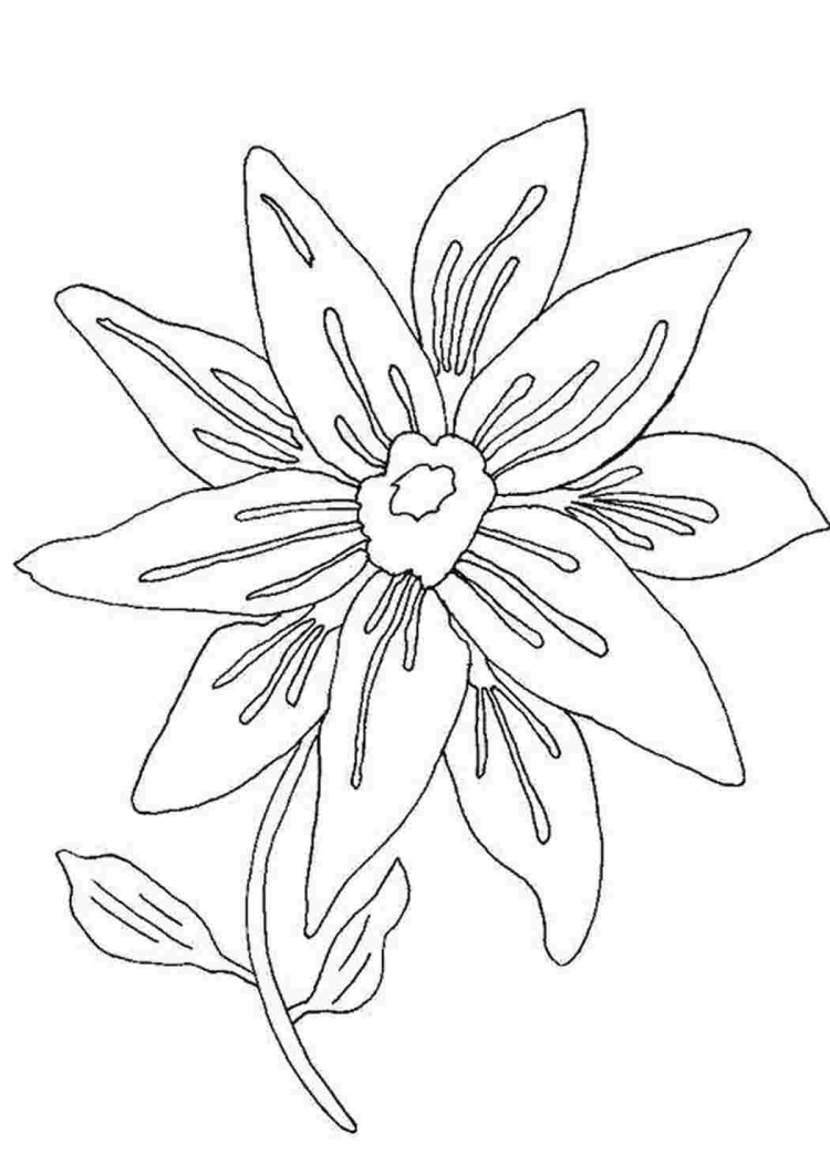 Иллюстрация к сказке неизвестный цветок
