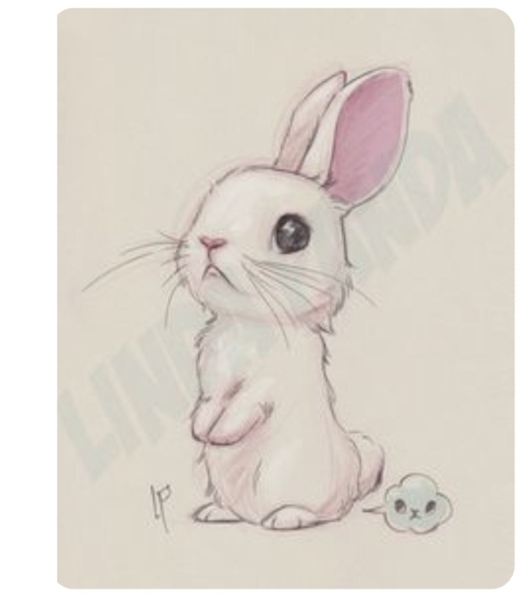 Кролик рисунок легкий карандашом