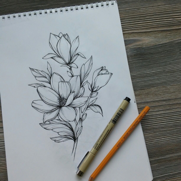 Не сложные рисунки простым карандашом