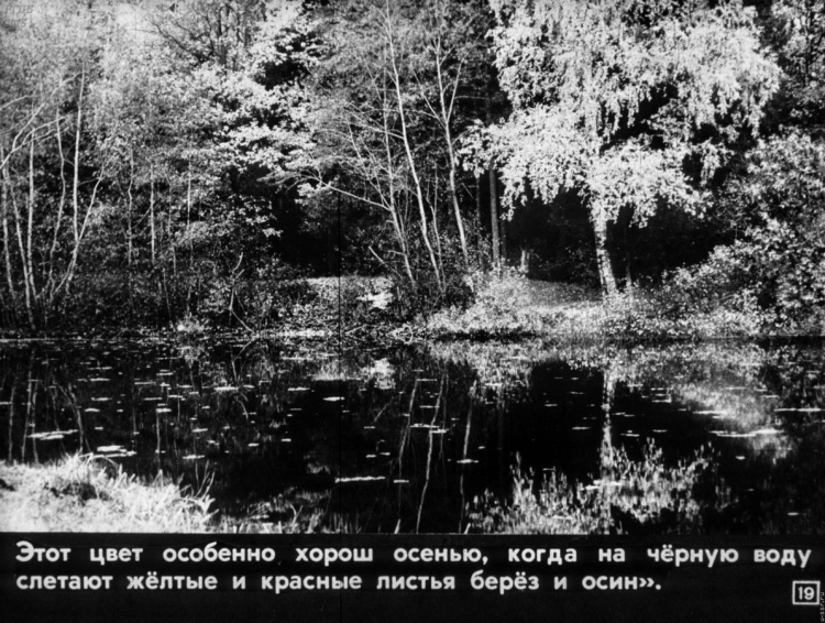 Паустовский к. г. "Мещерская сторона"
