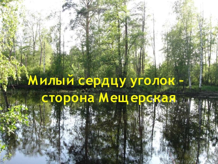 Мещерская низменность Сосновый Бор