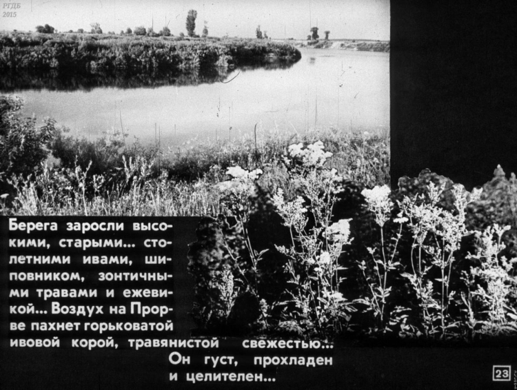 Паустовский Мещерская сторона пейзаж