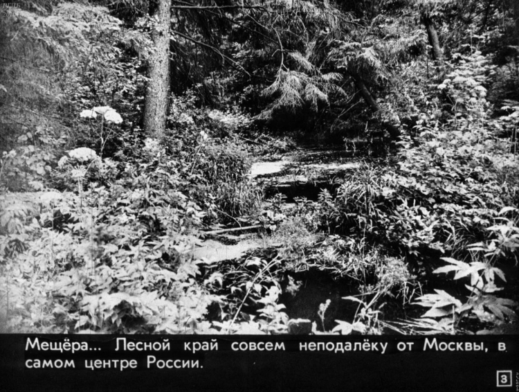 Паустовский Мещорская сторона