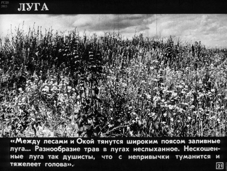 Мещерский край Паустовский