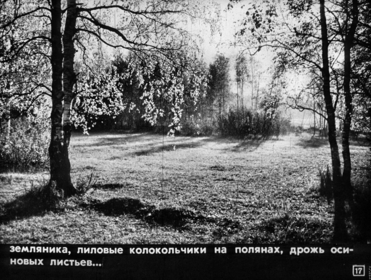 Паустовский Мещерская сторона слушать