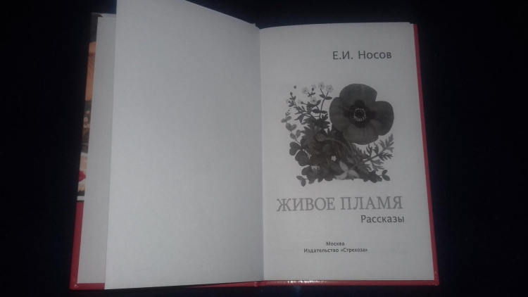 Носов живое пламя