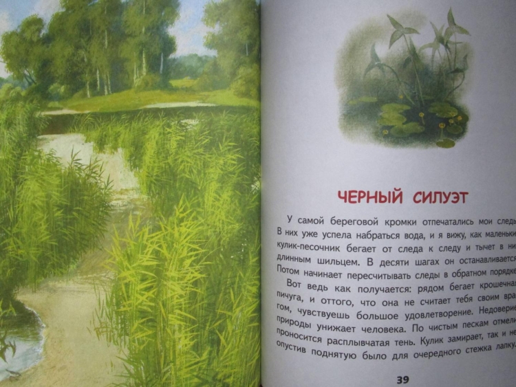 Живое пламя книга