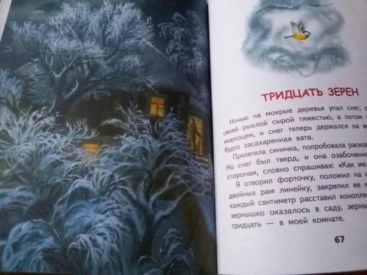 Рисунок по рассказу тридцать зерен