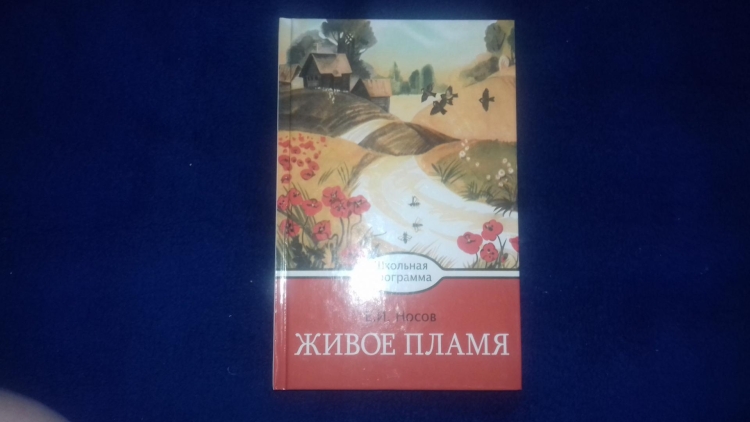 Евгений Иванович Носов живое пламя