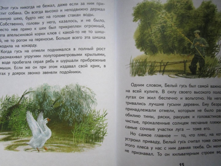 План к рассказу Евгения Носова хитрюга