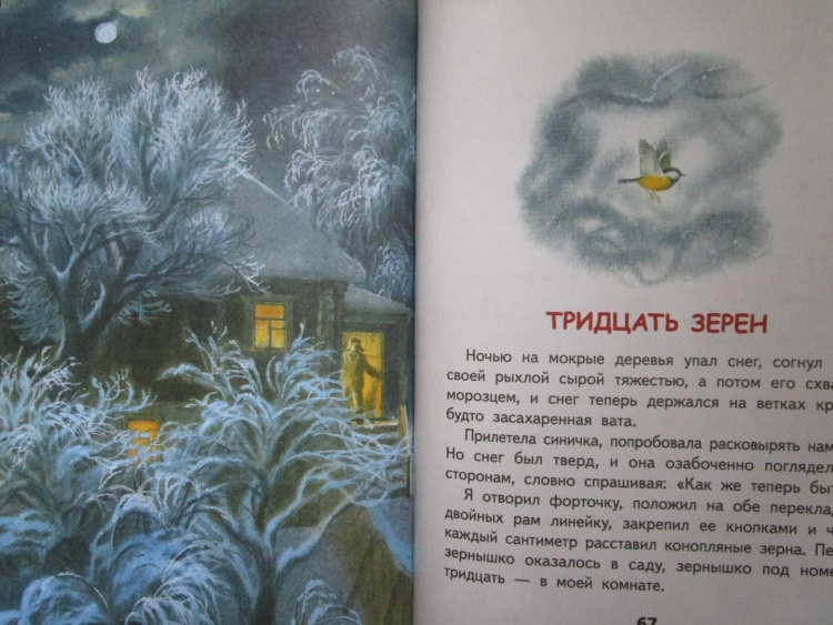 Е Носов тридцать зёрен