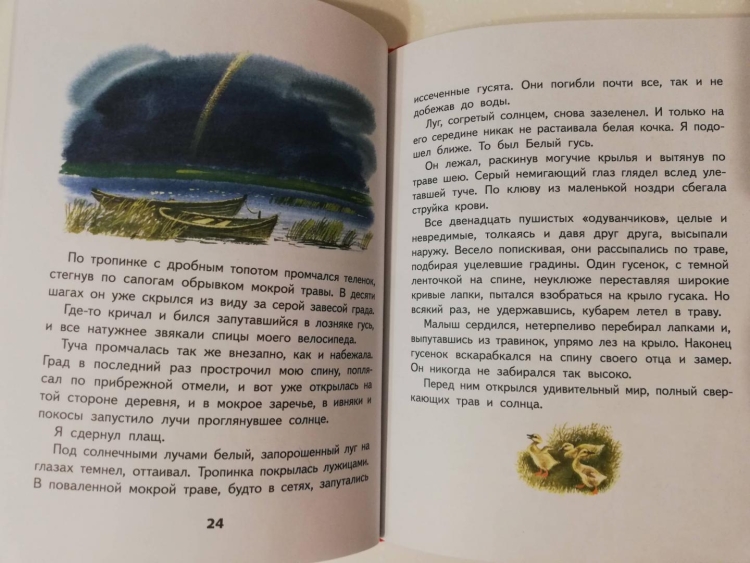 Е.Носов ракитовый чай