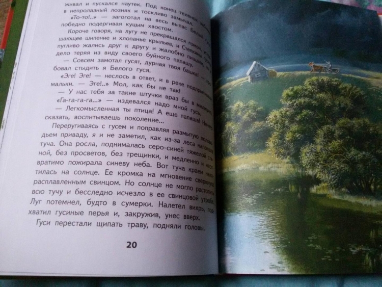 Живое пламя количество страниц