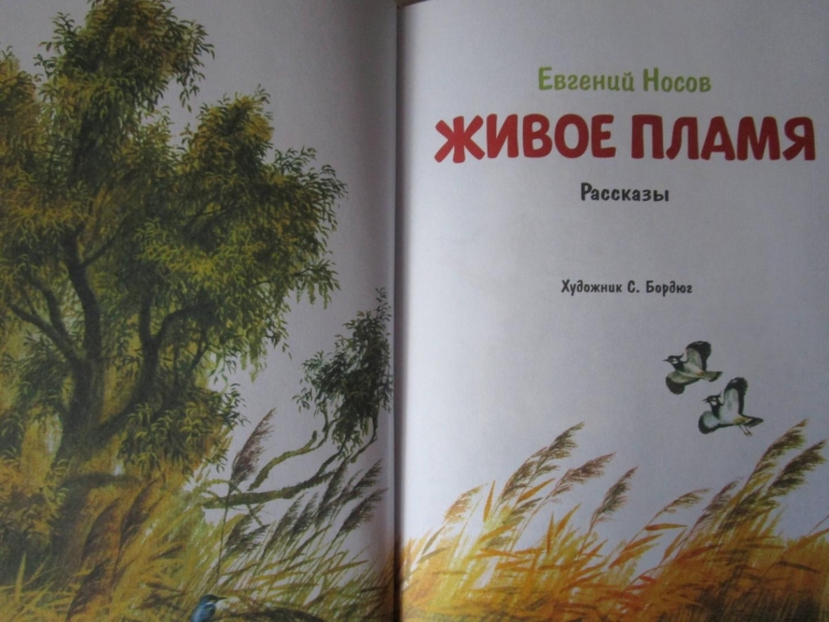 Евгений Носов книги