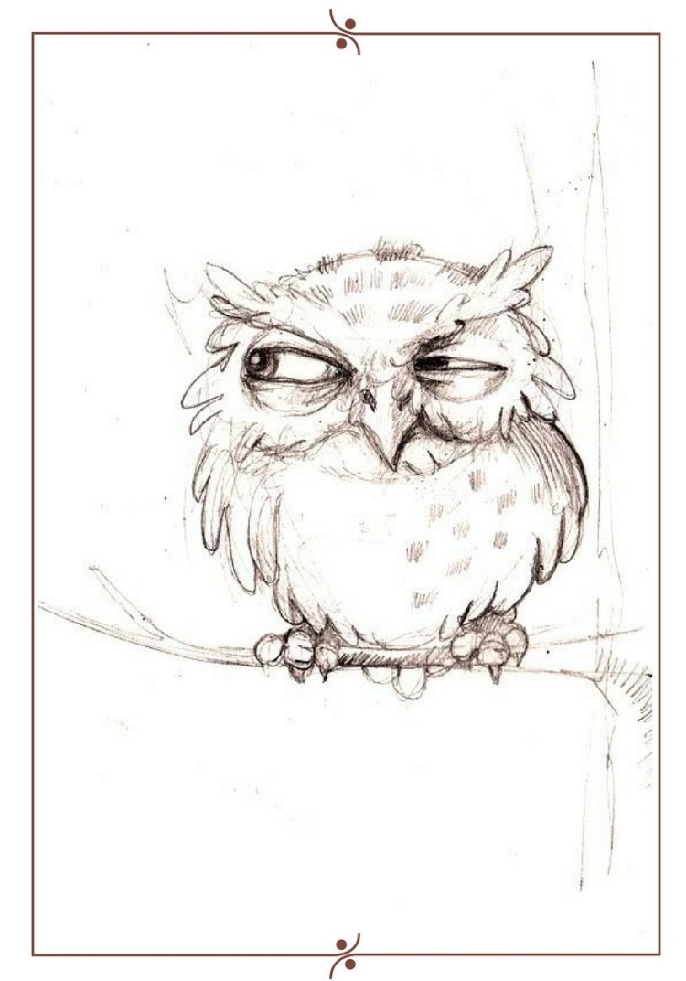 нарисованная карандашом голова совы | Плюшевая сова, Рисунки, Нарисовать сову