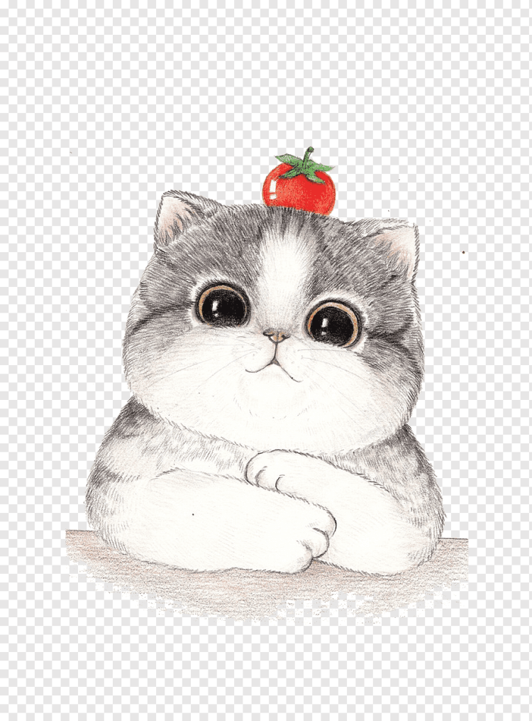 Милый котик рисунок карандашом