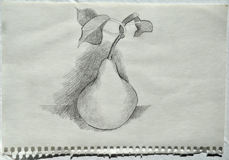 Рисунок груши карандашом