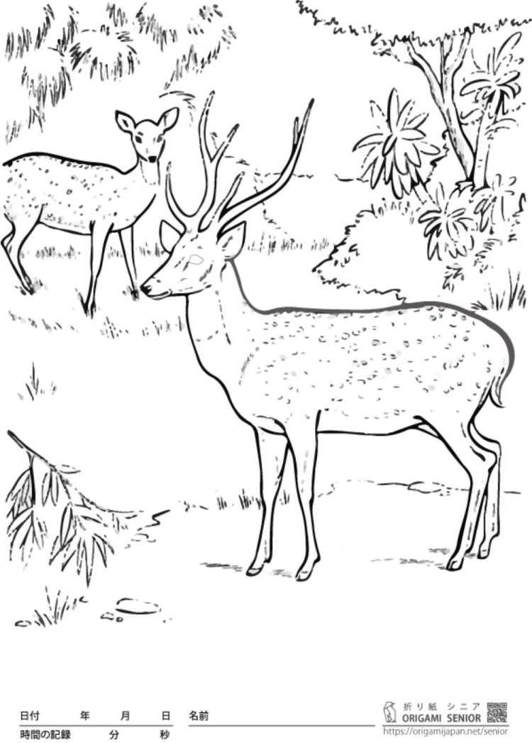 Животные красной книги рисунки карандашом