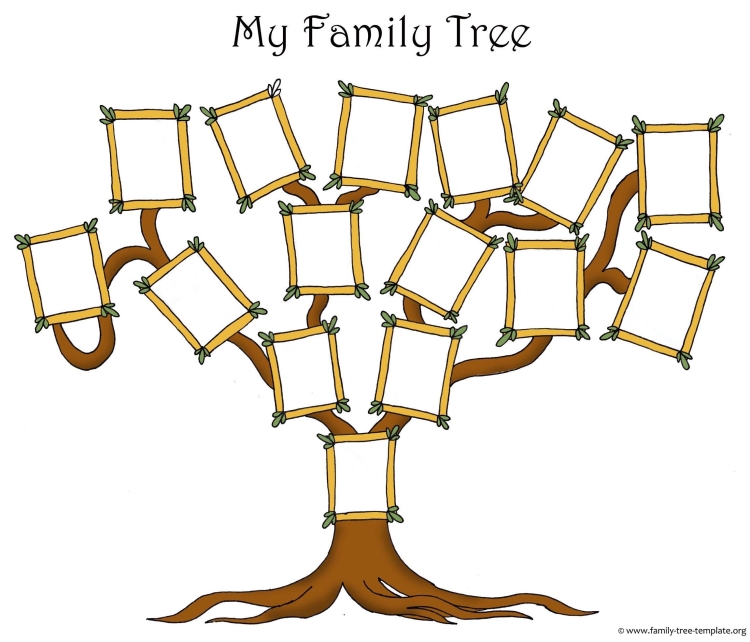 Семейное древо шаблон