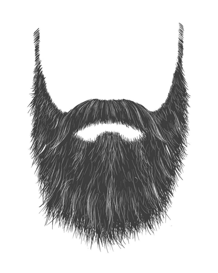 Бодо борода раскраска