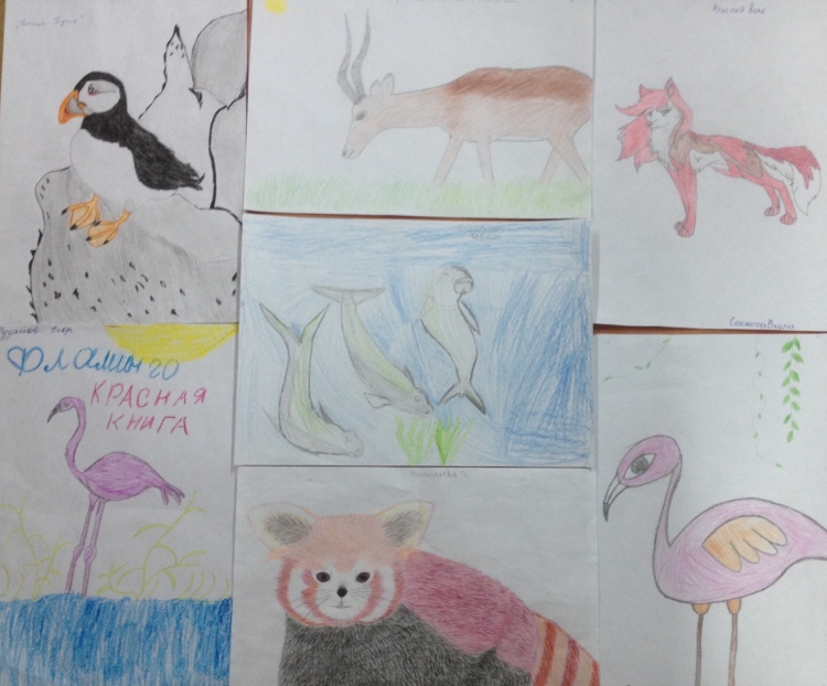 Защита животных детские рисунки
