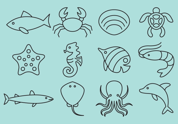 Рисунки морских обитателей для детей