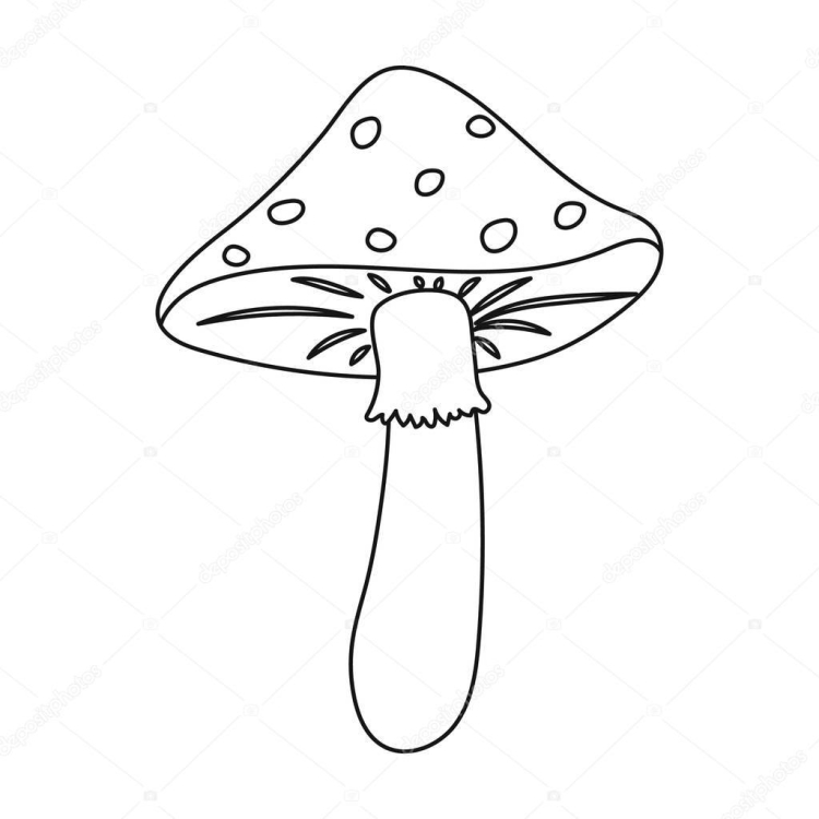Шаблон гриба