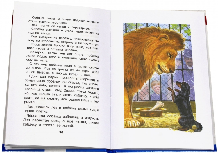 Иллюстрация к произведению лев и собачка