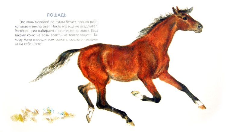 Иллюстрации к сказке слепая лошадь