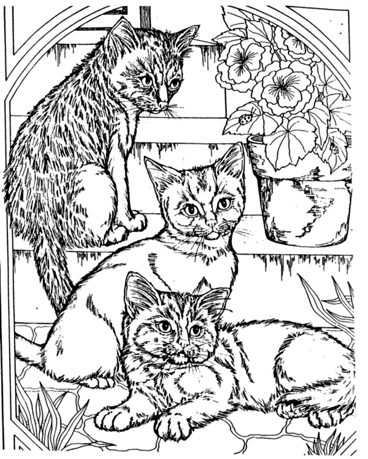 Кошка с котятами детский рисунок