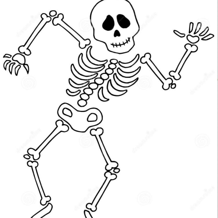 Скелет детский рисунок
