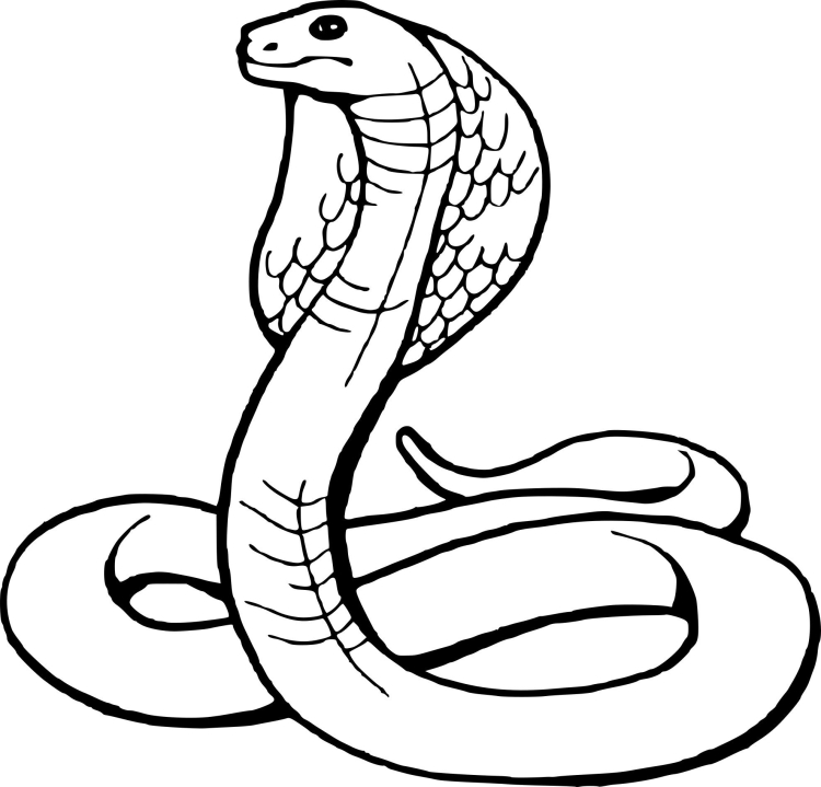 Детский рисунок змеи