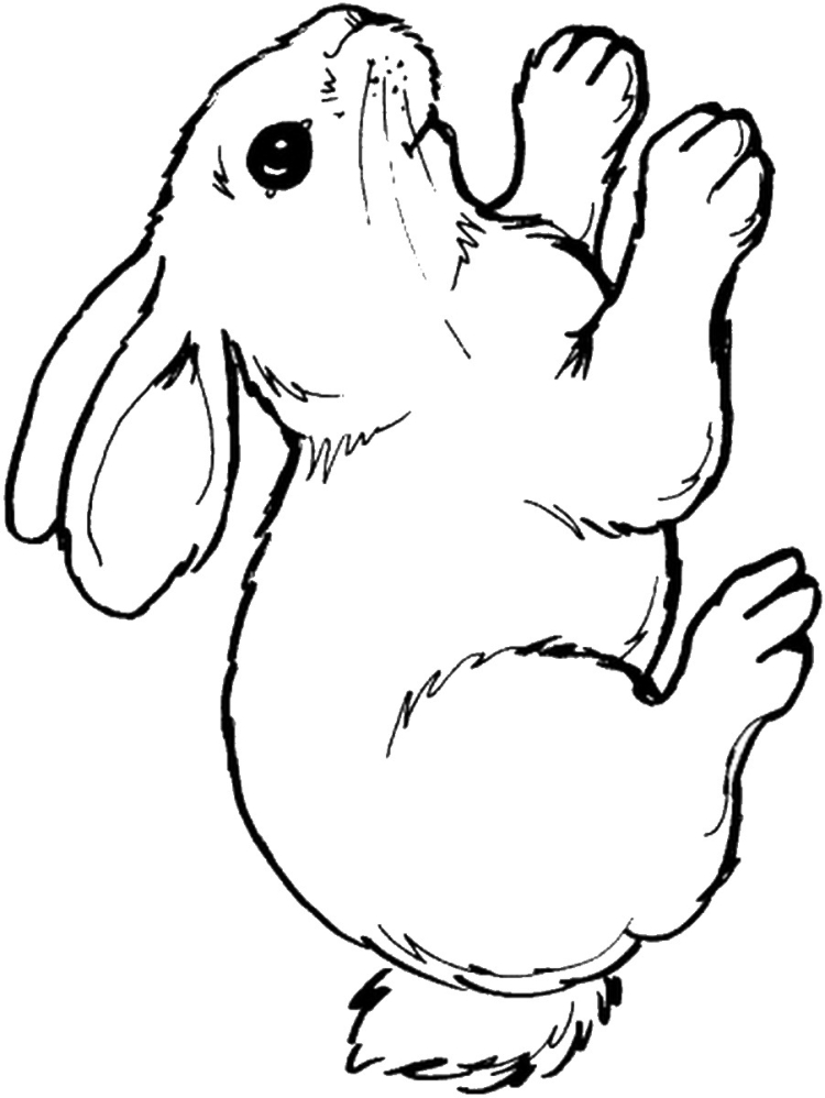 Кролик бонзо раскраска