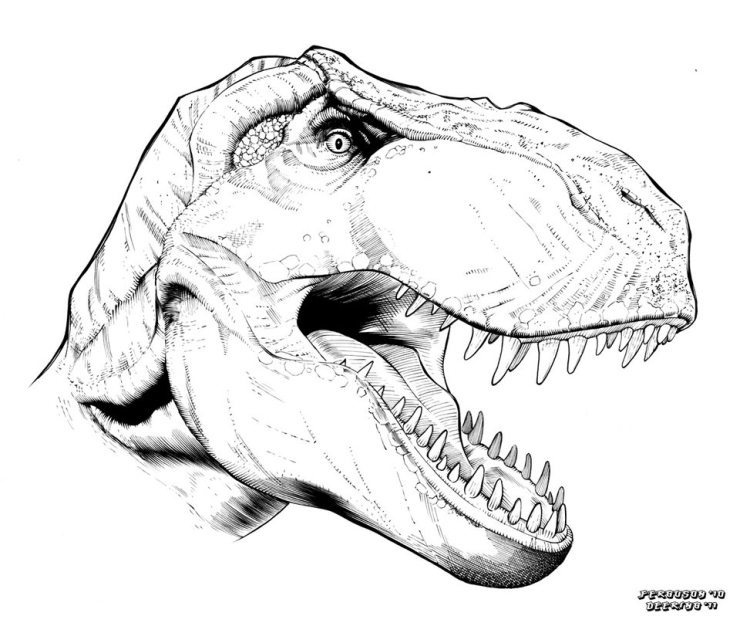 Тираннозавр рисунок для детей