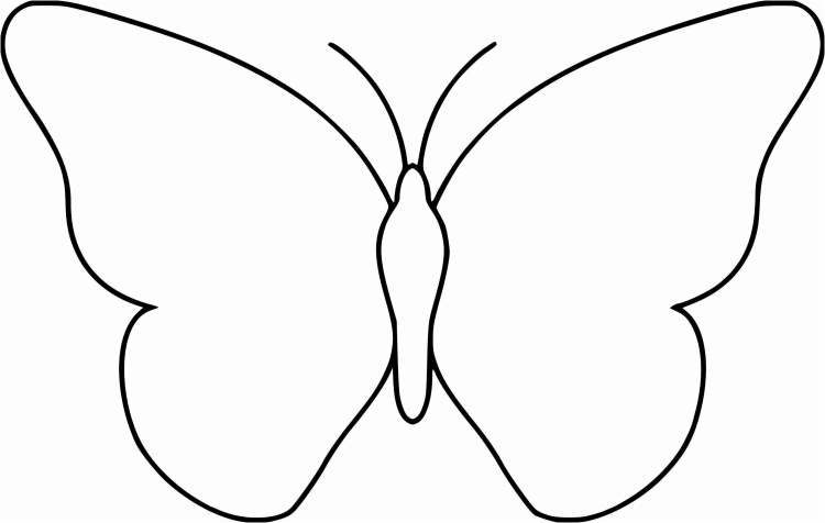 Шаблон бабочки для рисования