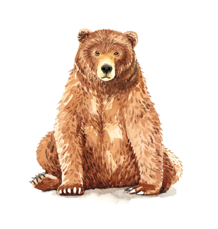 Медведица рисунок для детей