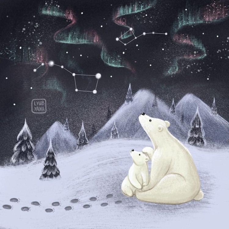 Медведь белый иллюстрация