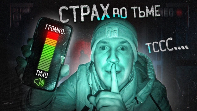 Дмитрий Масленников блоггер