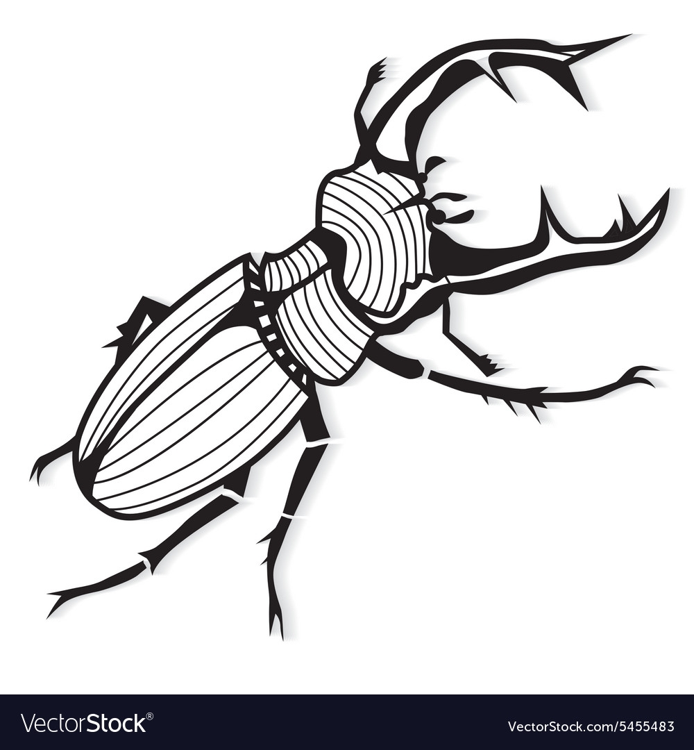 Картинка раскраска жук